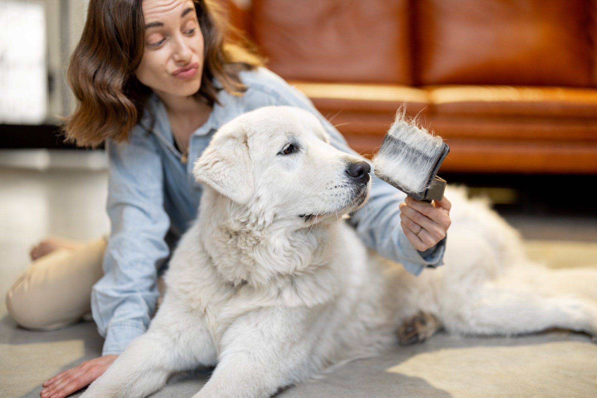 Woman combs the dog's hair with a brush