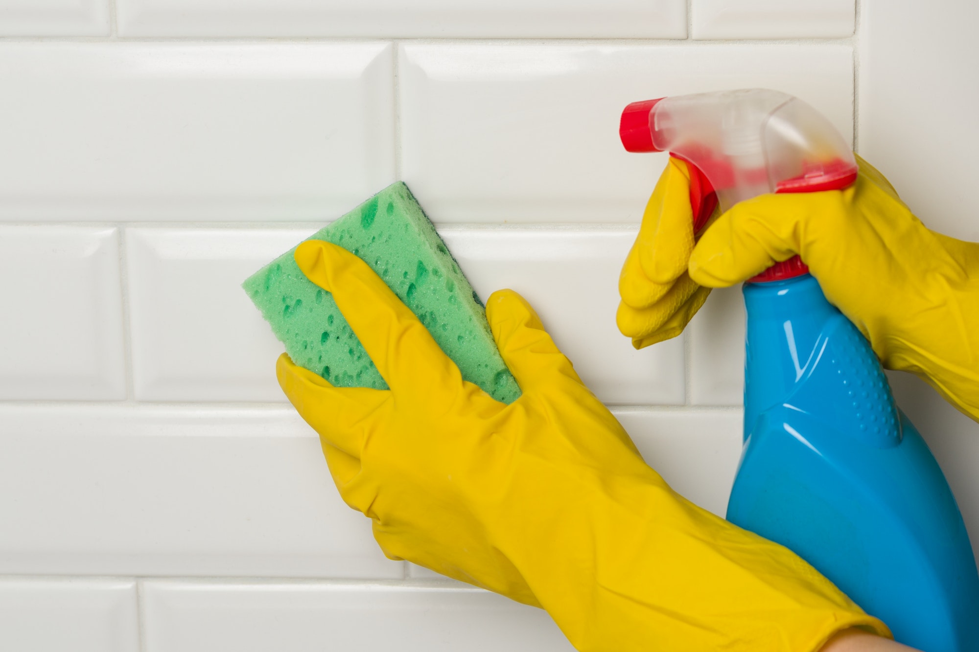 Professional cleaning service. Hands in rubber protective gloves with detergent and sponge