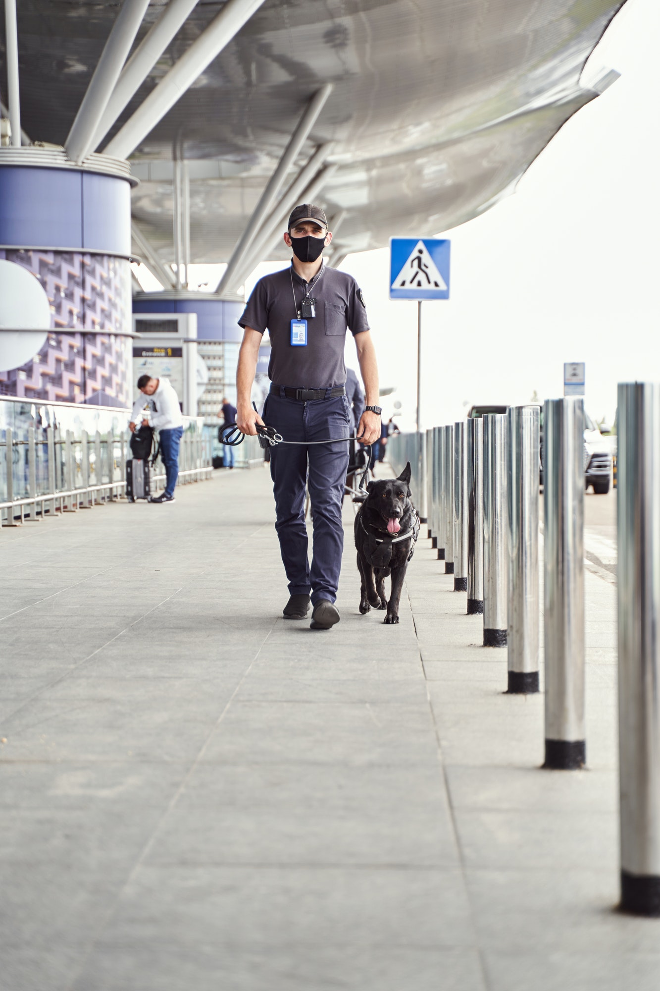 Security worker with detection dog walking outdoors at airport