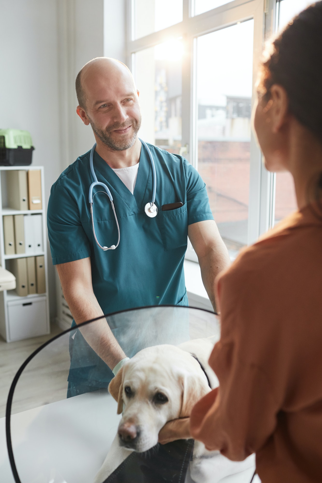 Smiling Veterinarian Examining Dog in Vet Clinic